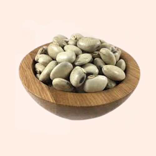 Mucuna Pruriens