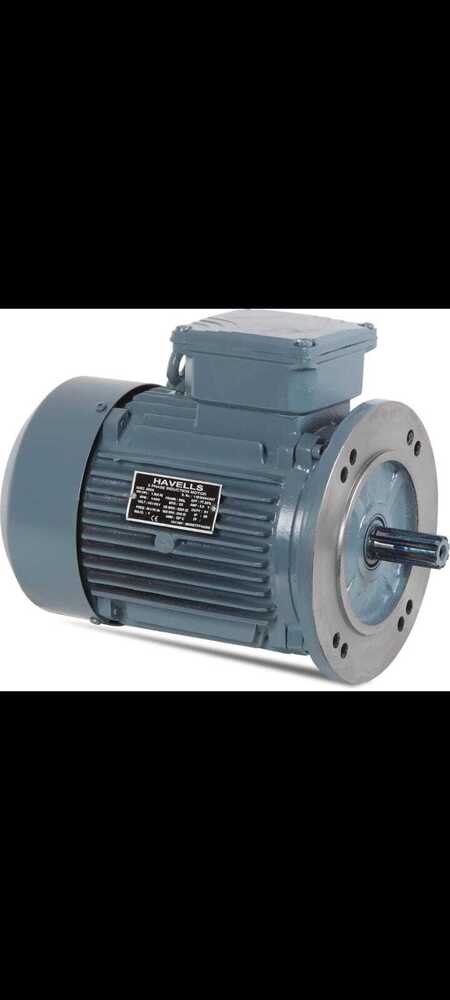 Electric Induction Motor