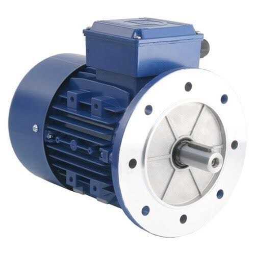 Electric Induction Motor