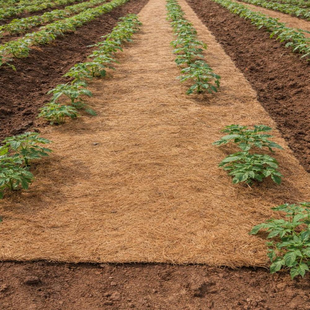 Coir Geotextiles - Color: Natural