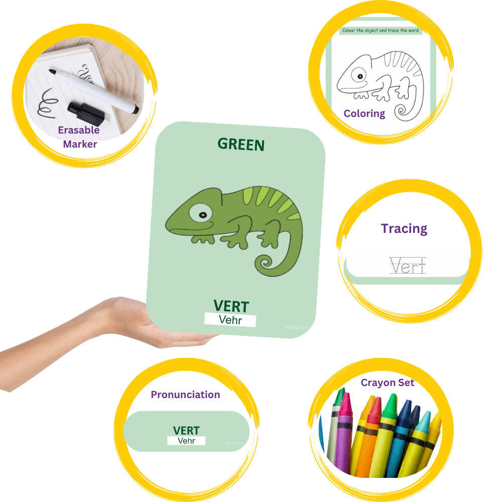 French Flashcards - Binding: Cards