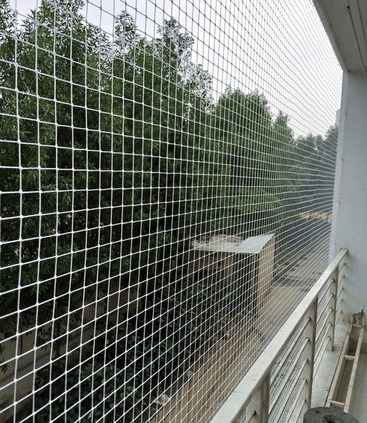 Bird Protection Net