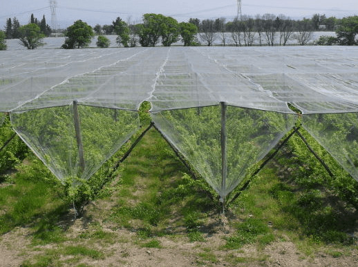 Hail Protection Net