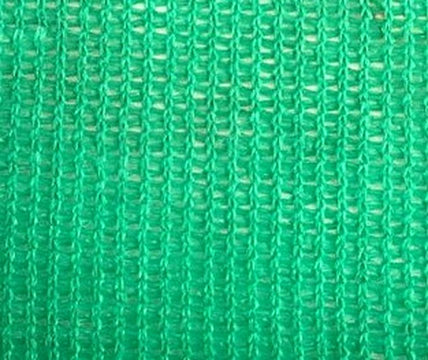 Insect Net