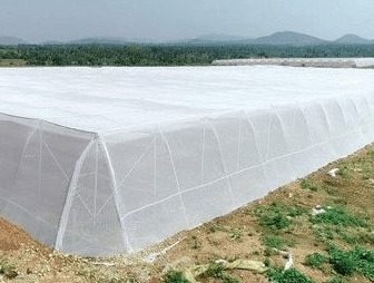 Insect Protection Net
