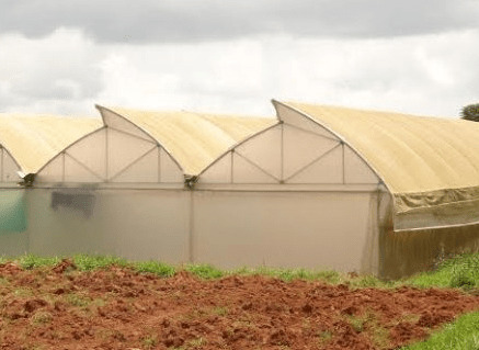 Poly House Covering Sheet