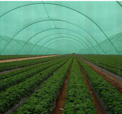 Sun Protection Shading Net