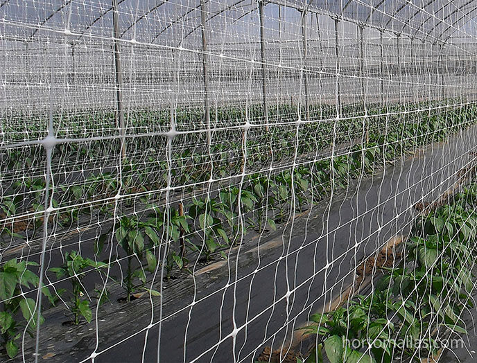 Crop Support Net