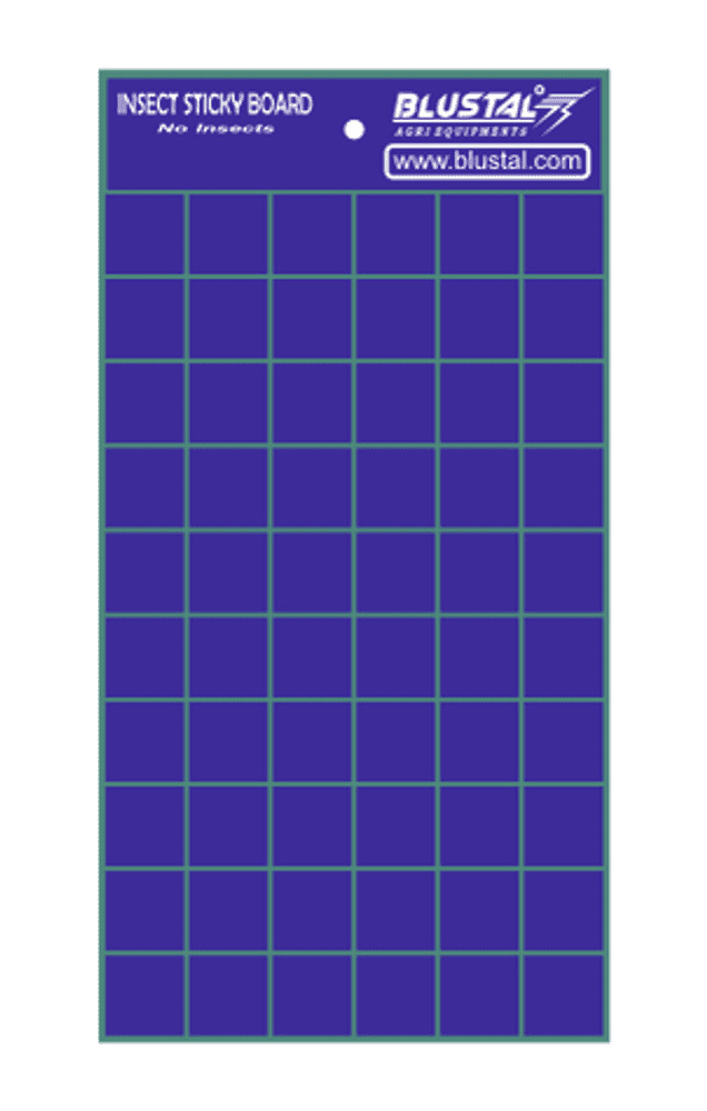 Sticky Board Blue