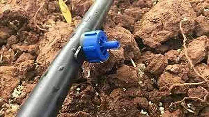 Online Dripper (2 LPH)