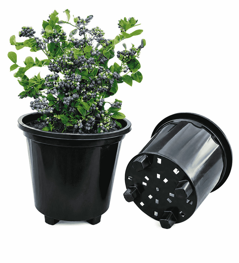 Berry Pot - 35L