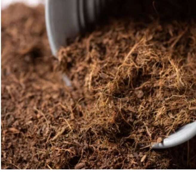 Coco Peat