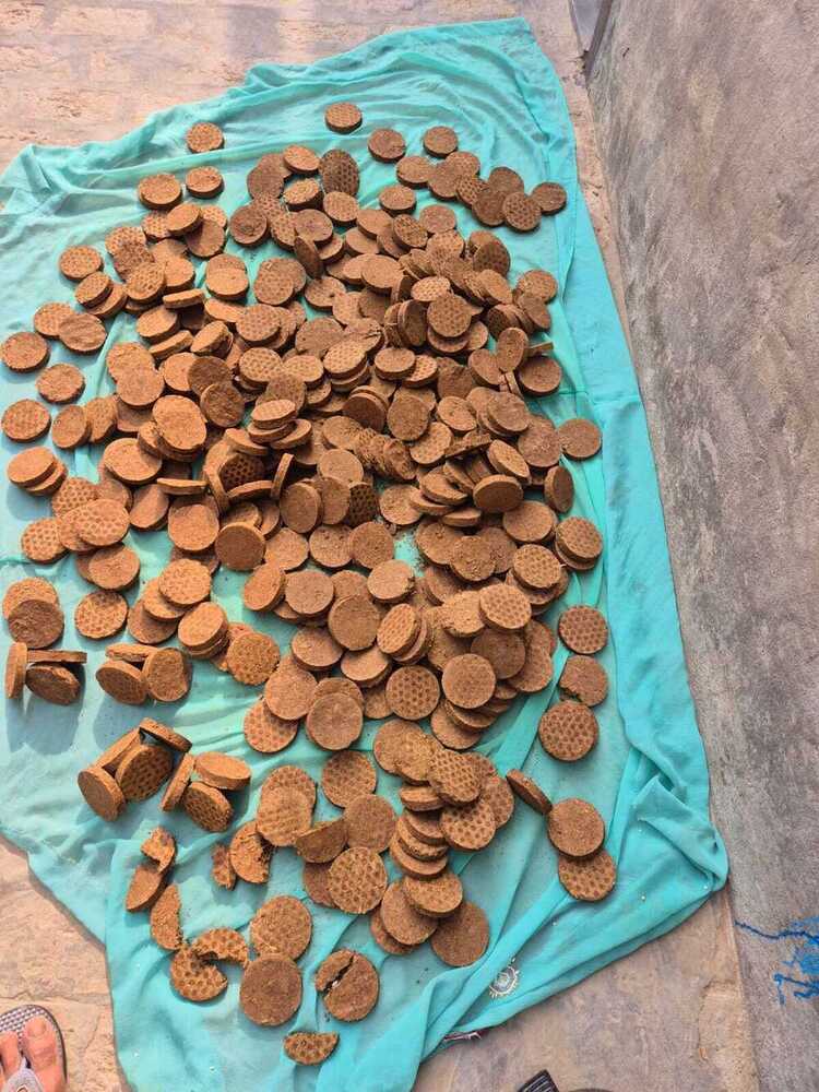 cow dung cakes