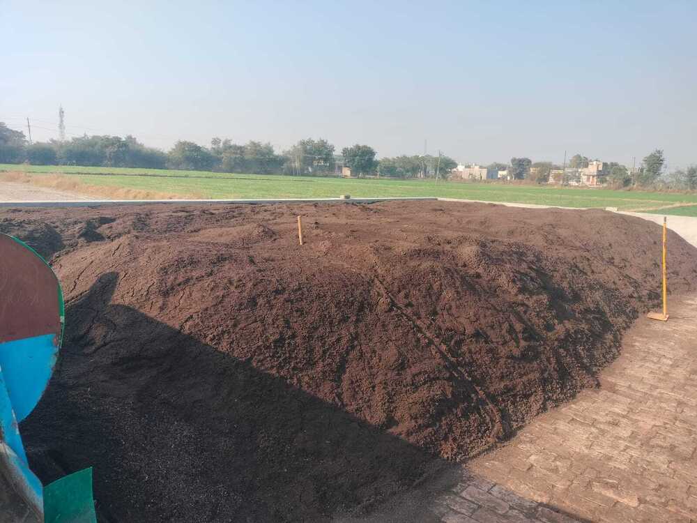 Cow Dung  Powder