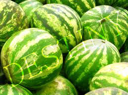 तरबूज
