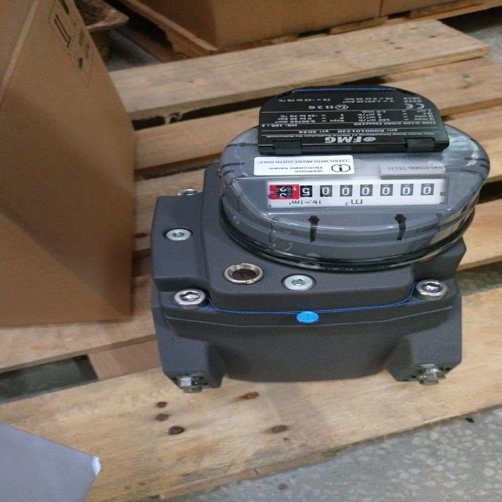DN80 G160 RPD GAS METER