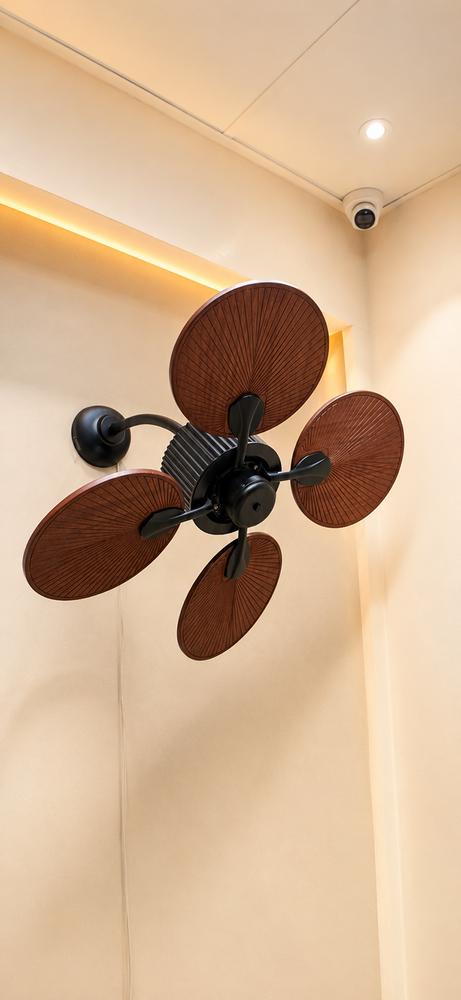 Baby Teetar Ceiling Fan