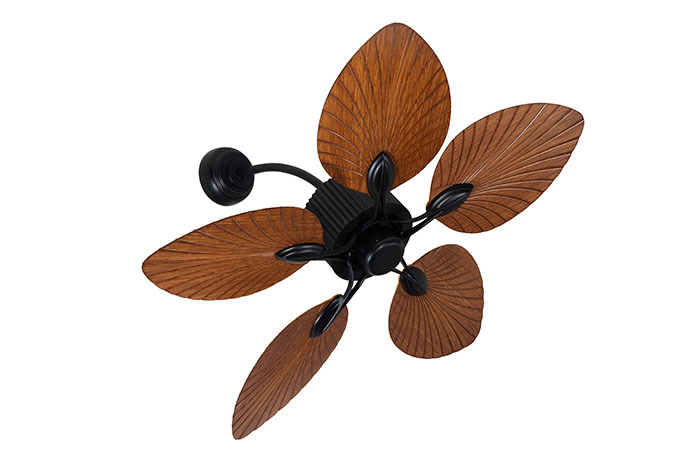 Wall Teetar Ceiling Fan