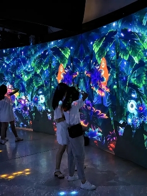 Large venue Projector on Rent