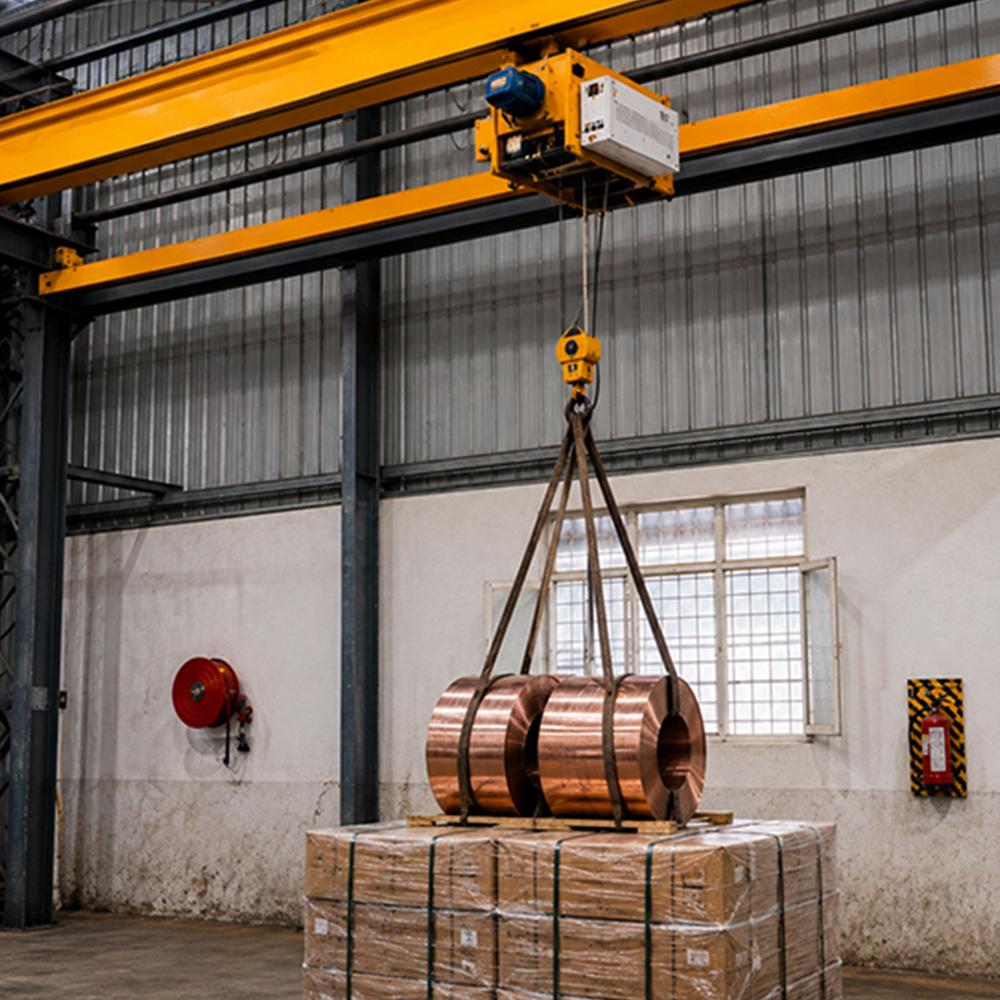 Electric Crane Wire Rope Hoist