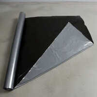 Biodegradable Mulching Paper for Brinjal
