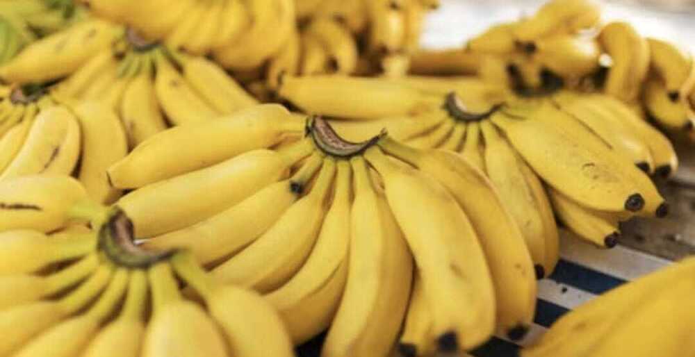 Fresh Banana