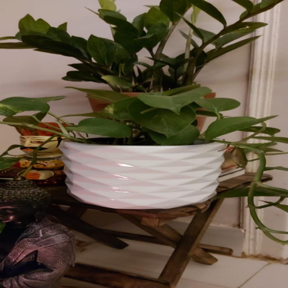 Frp Flower Pots - Color: Customisation