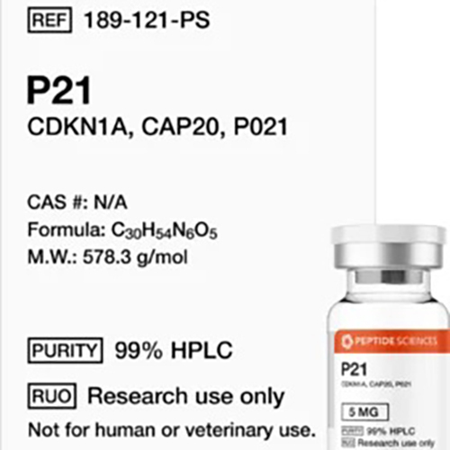 P21 CDKB1A, CAP20, P021Peptide