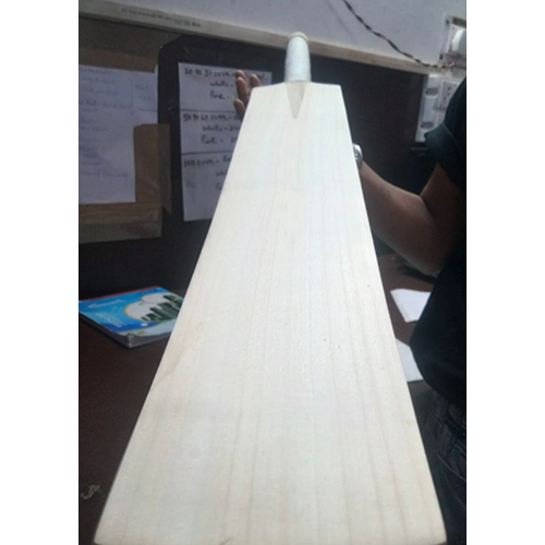 Master English Willow Bat
