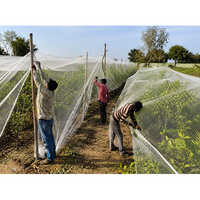 Anti Bird Net