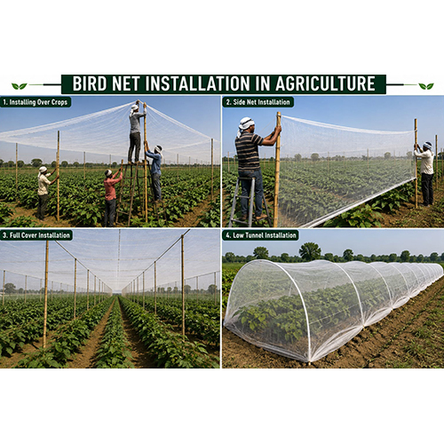 Anti Bird Net