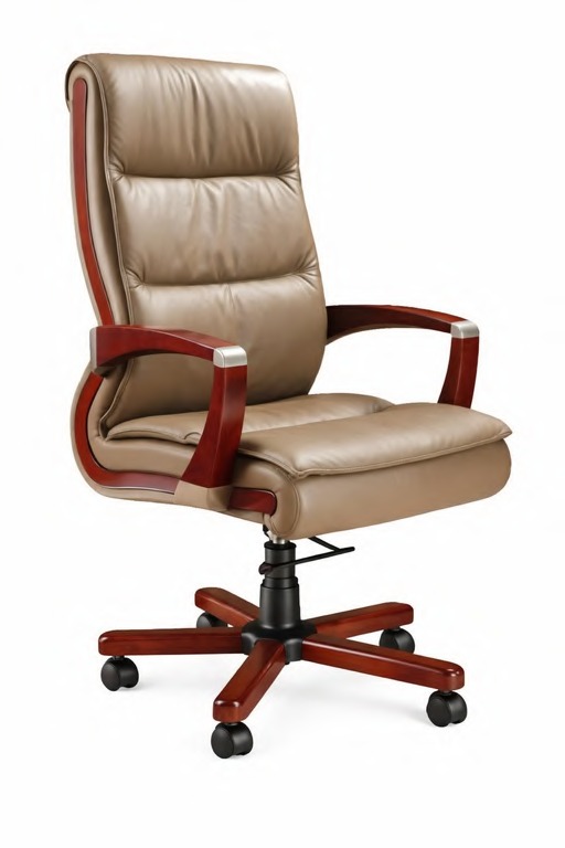 Fancy Office chair