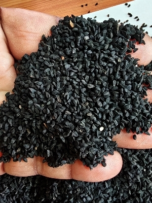 KALONJI SEEDS
