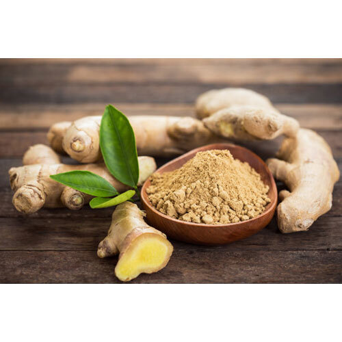 Ginger Powder - Cultivation Type: Organic