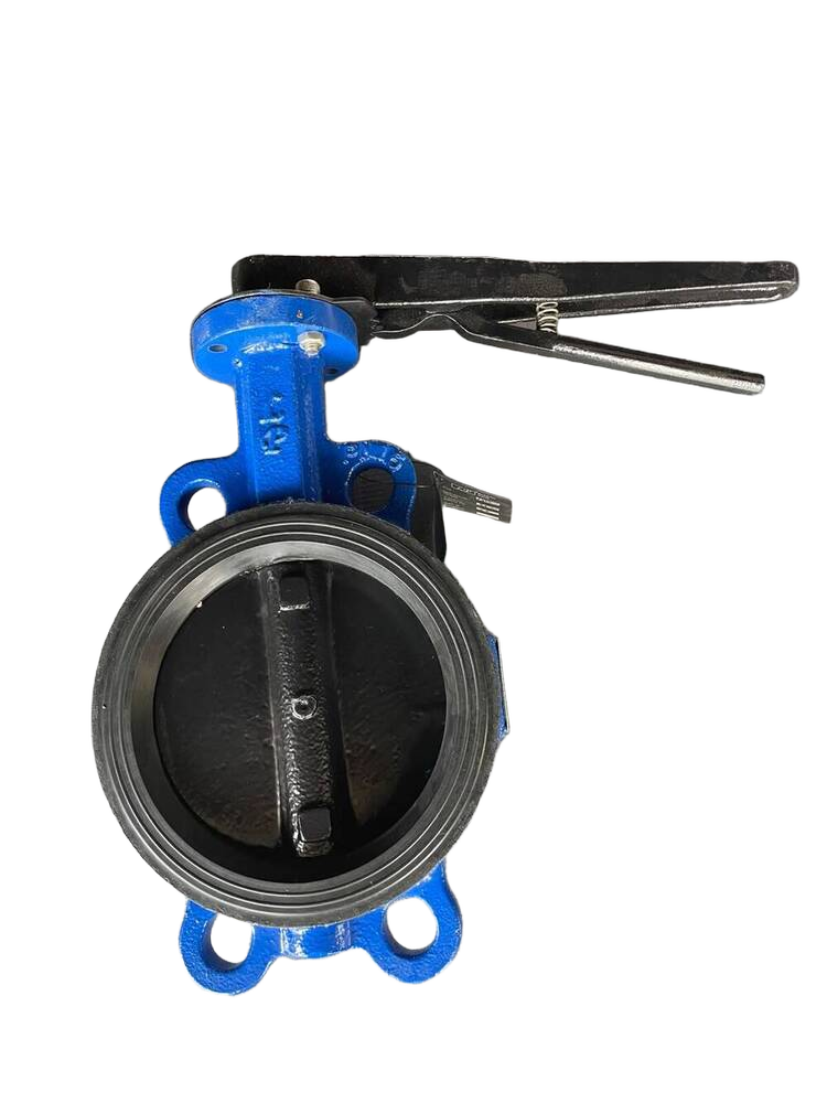 Generic Cast Iron Butterfly Valve