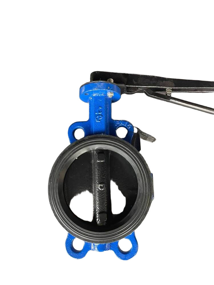 Generic Cast Iron Butterfly Valve