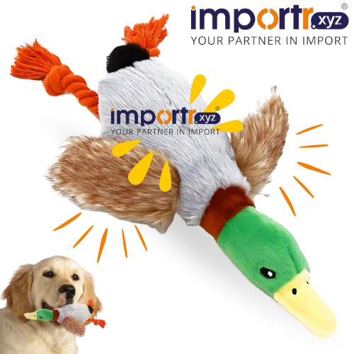 Duck Toy