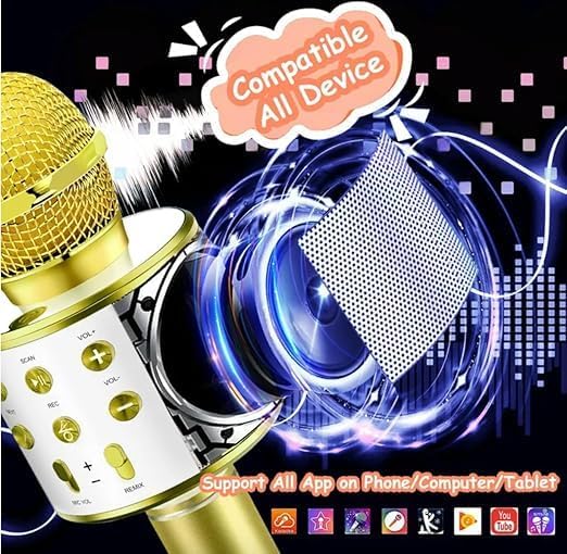 MZ MIC12 WIRELESS MICROPHONE