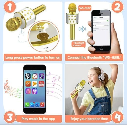 MZ MIC12 WIRELESS MICROPHONE