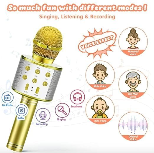 MZ MIC12 WIRELESS MICROPHONE