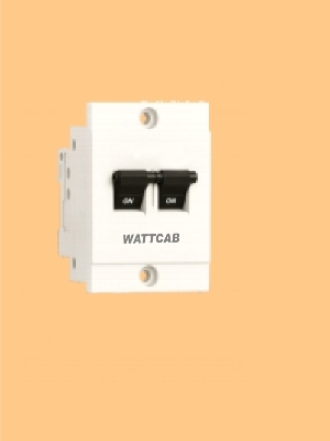 Mini MCB Double Pole (DP) Non Modular