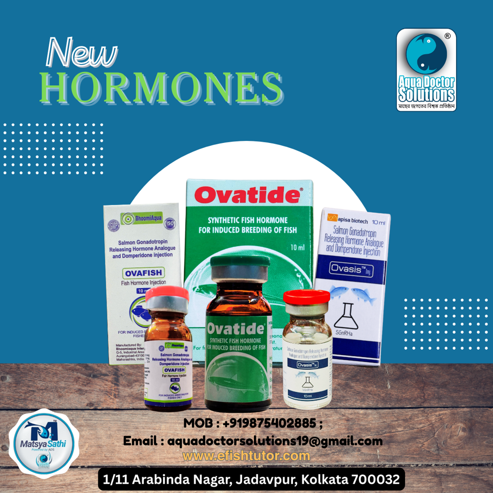Ovafish (Fish Hormone )