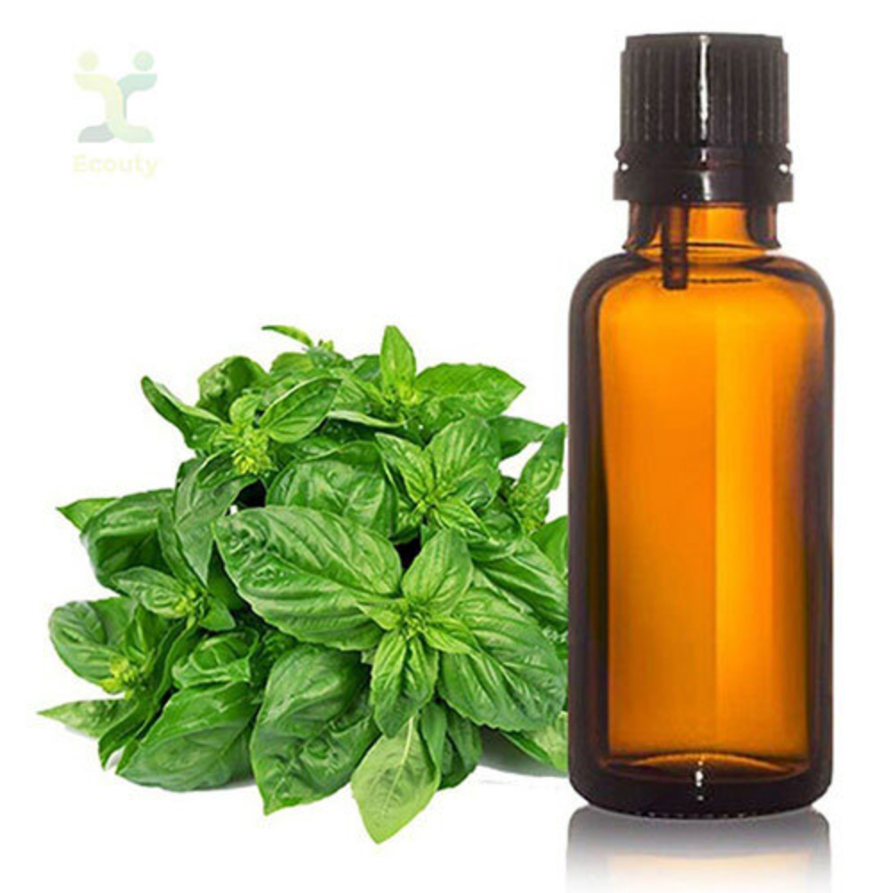 Basil Oil - Purity: 100 %