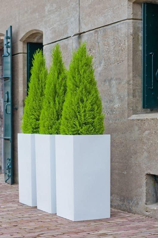 FRP planter box