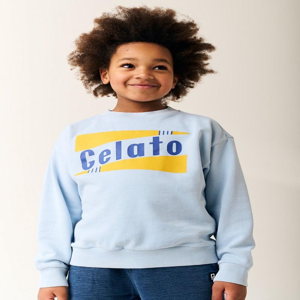 B16744 | Boys Organic Cotton Printed Sweatshirt - Age Group: 2 Years To 12 Years