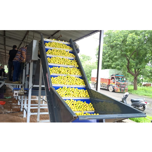 Lemon Grading Machine