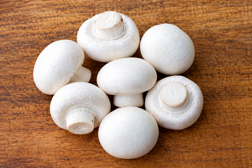 White Button Mushroom - Cultivation Type: Commonly Cultivated In Controlled Environment