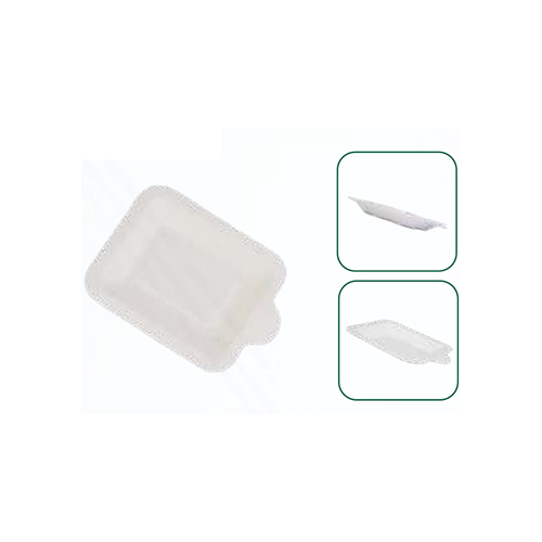 Disposable 4x5 Inch Stater Ractangle Plate
