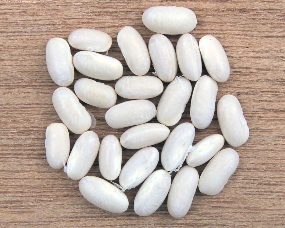 Navy Beans - Color: White
