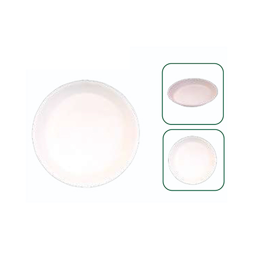 Disposable Round Plate